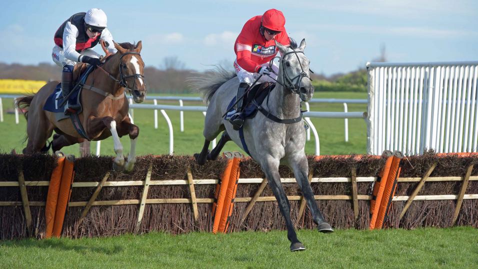 Today's best bet Newtown Boy runs at Warwick